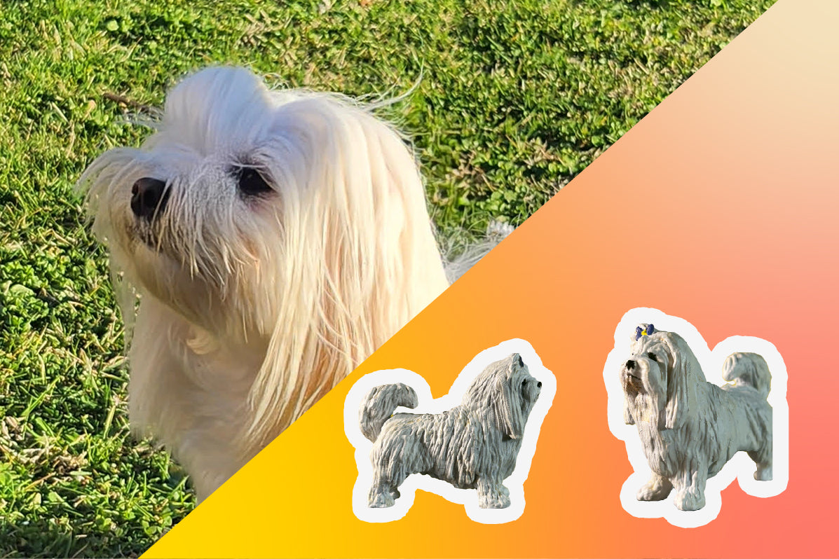 Action Fido Classic