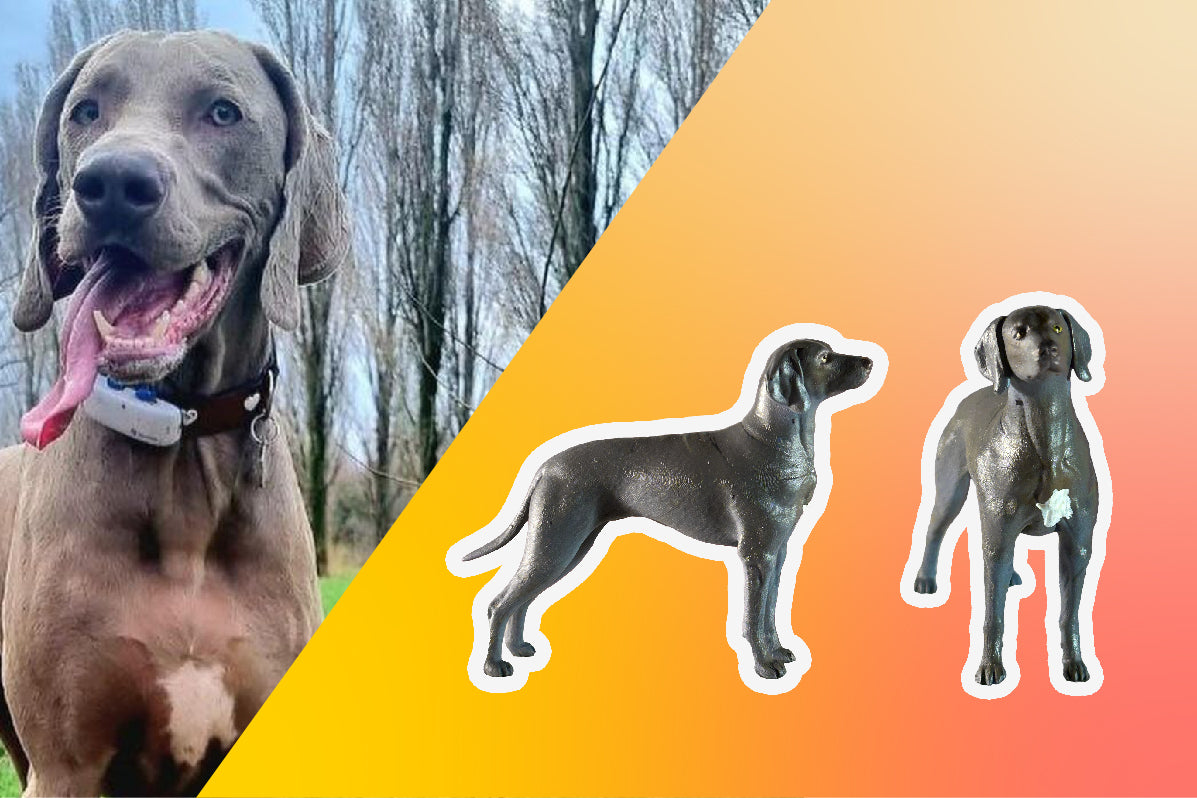 Action Fido XL